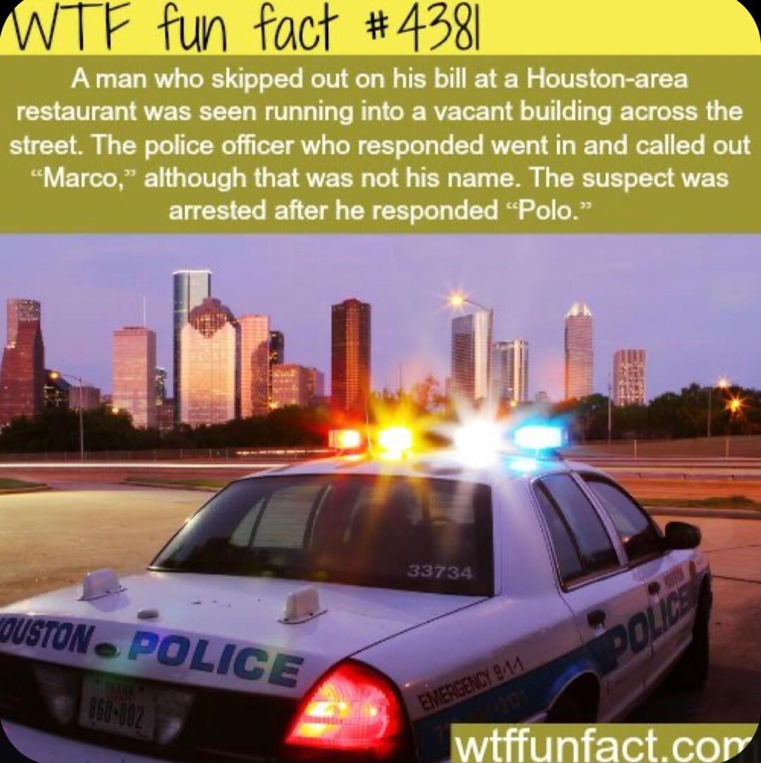 WTF fun fact 4258 A