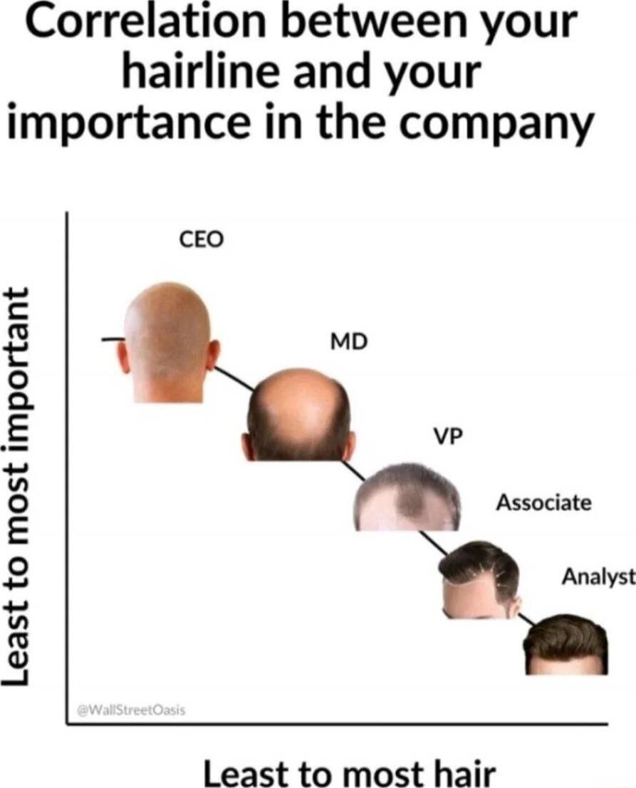 Correlation between your hairline and your importance in the company

CEO MD VP Associate Analyst

Axis labels: Least important to Most important (y-axis) and Least to most hair (x-axis)

 watermark: @WaltStreetOasis