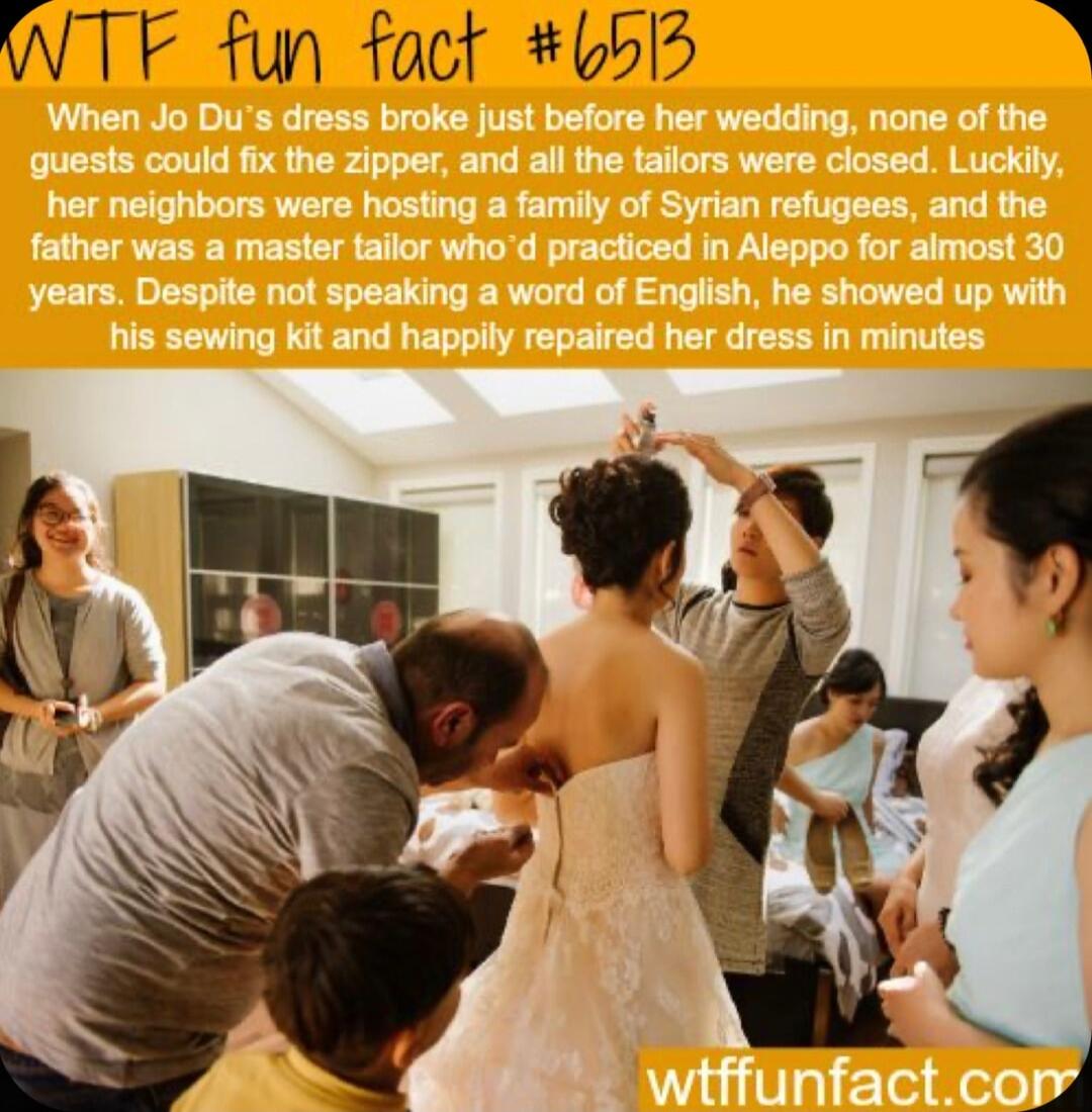 WTF fun fact 6515 0