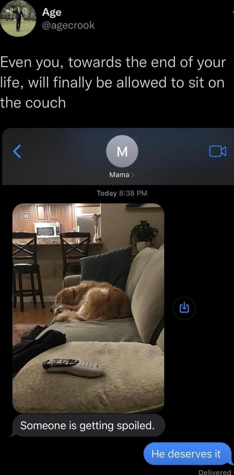 Age CEEEILe SVTaRYe IV MR o WVETge R d TSN ToTo Moy Ye1g life will finally be allowed to sit on alRolol0el Mama Today 838 PM Someone is getting spoiled P PR TA