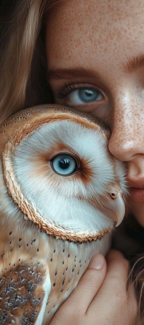 Session ID: 1067931.