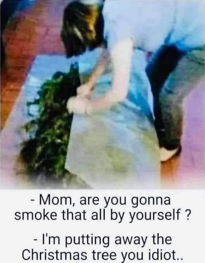 - Mom, are you gonna smoke that all by yourself ?
- I'm putting away the Christmas tree you idiot..