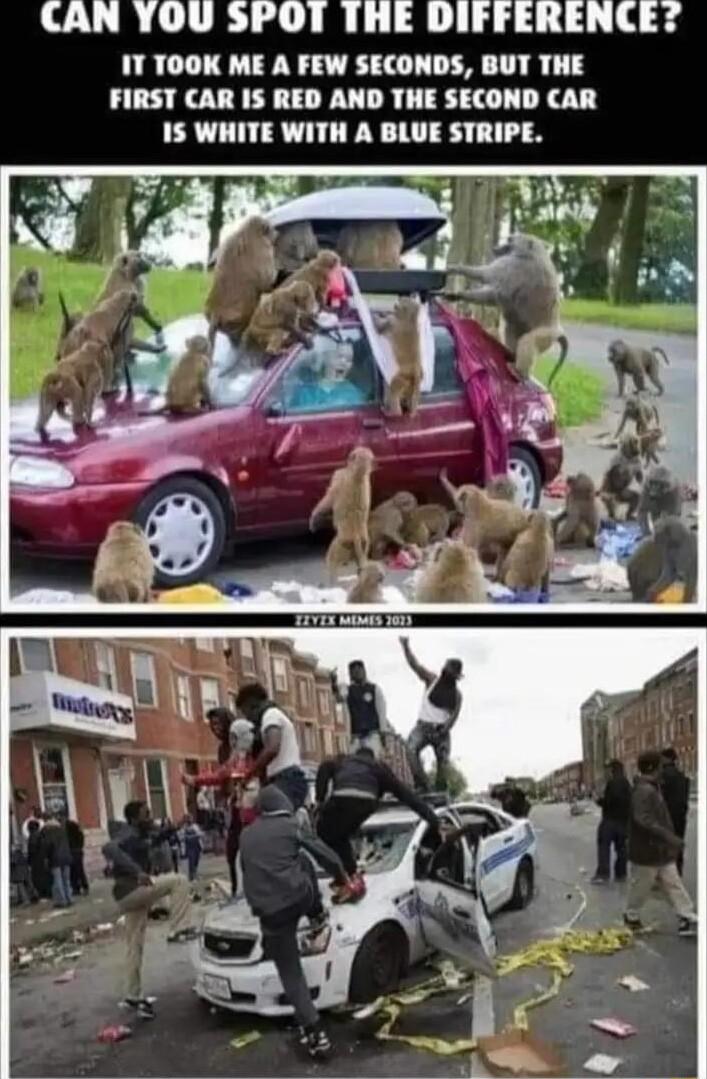 CURL LRI AU 14 34 1T TOOK ME A FEW SECONDS BUT THE FIRST CAR IS RED AND THE SECOND CAR IS WHITE WITH A BLUE STRIPE