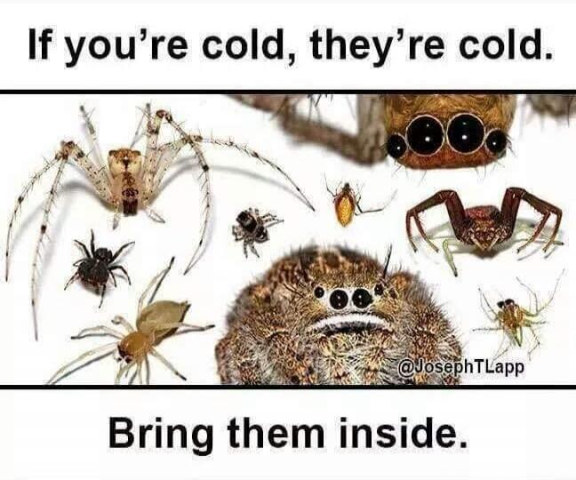 If you're cold, they're cold. Bring them inside.