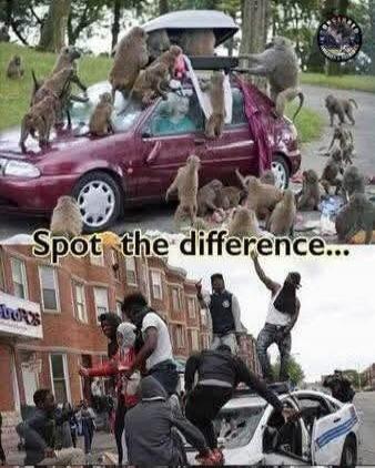 Spot the difference...
