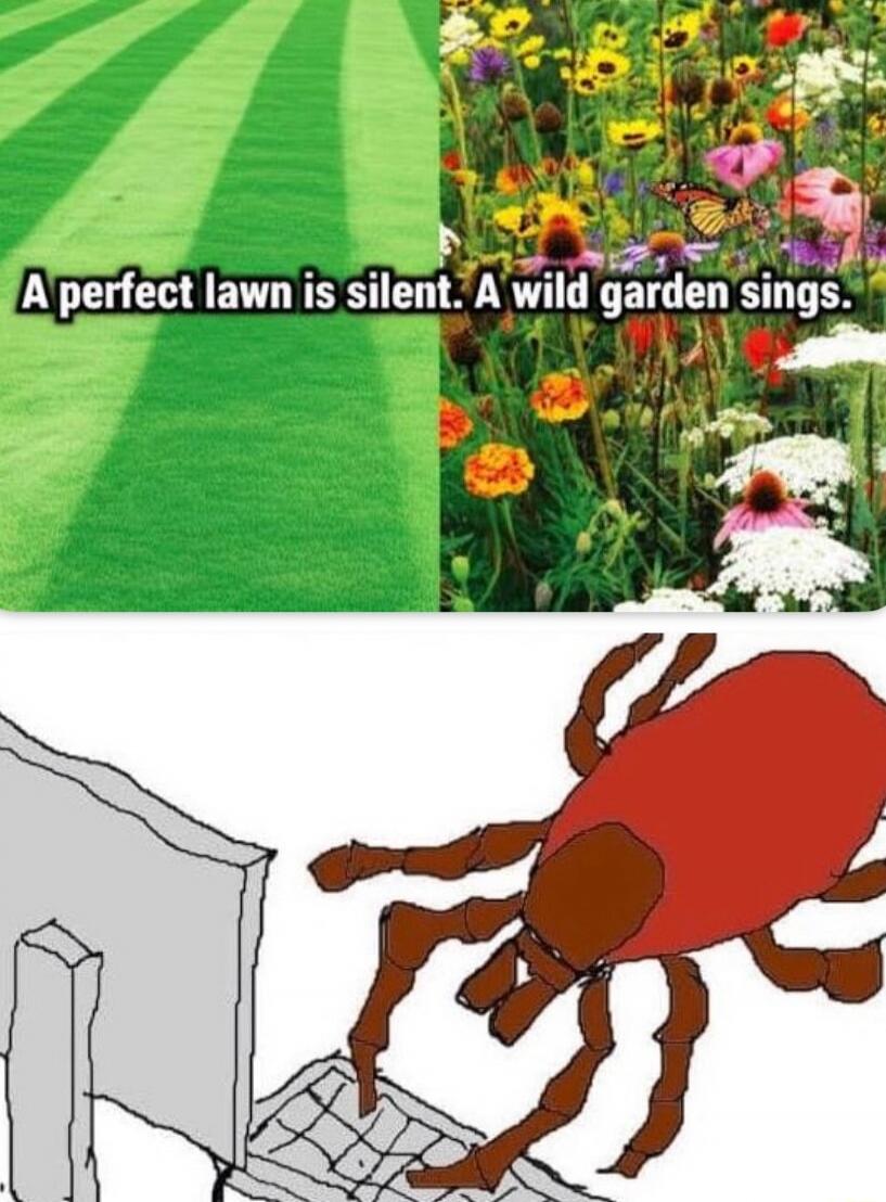A perfect lawn is silent. A wild garden sings.