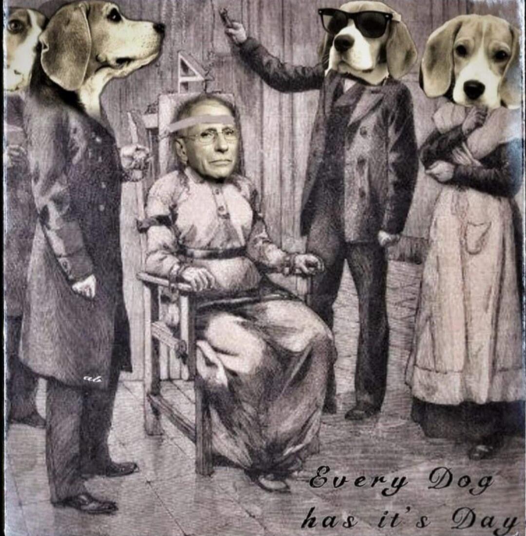 Every Dog has it's Day