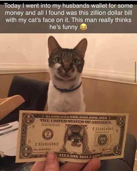Today went into my husbands wallet for some el T To R W N oTVT o RV TSR o T ToTg e o T 11 with my cats face on it This man really thinks hes funny