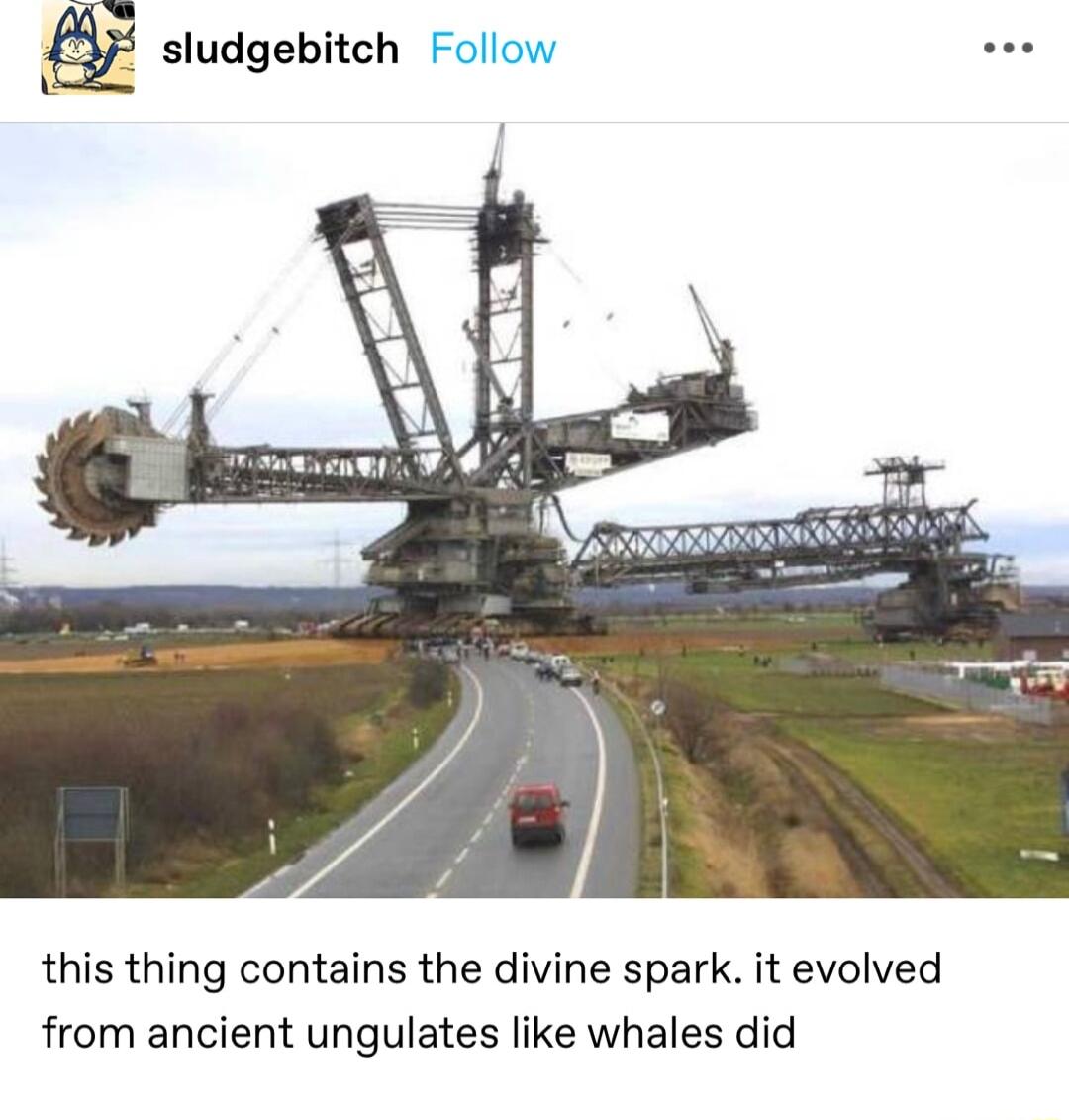 sludgebitch Fol this thing contains the divine spark it evolved from ancient ungulates like whales did
