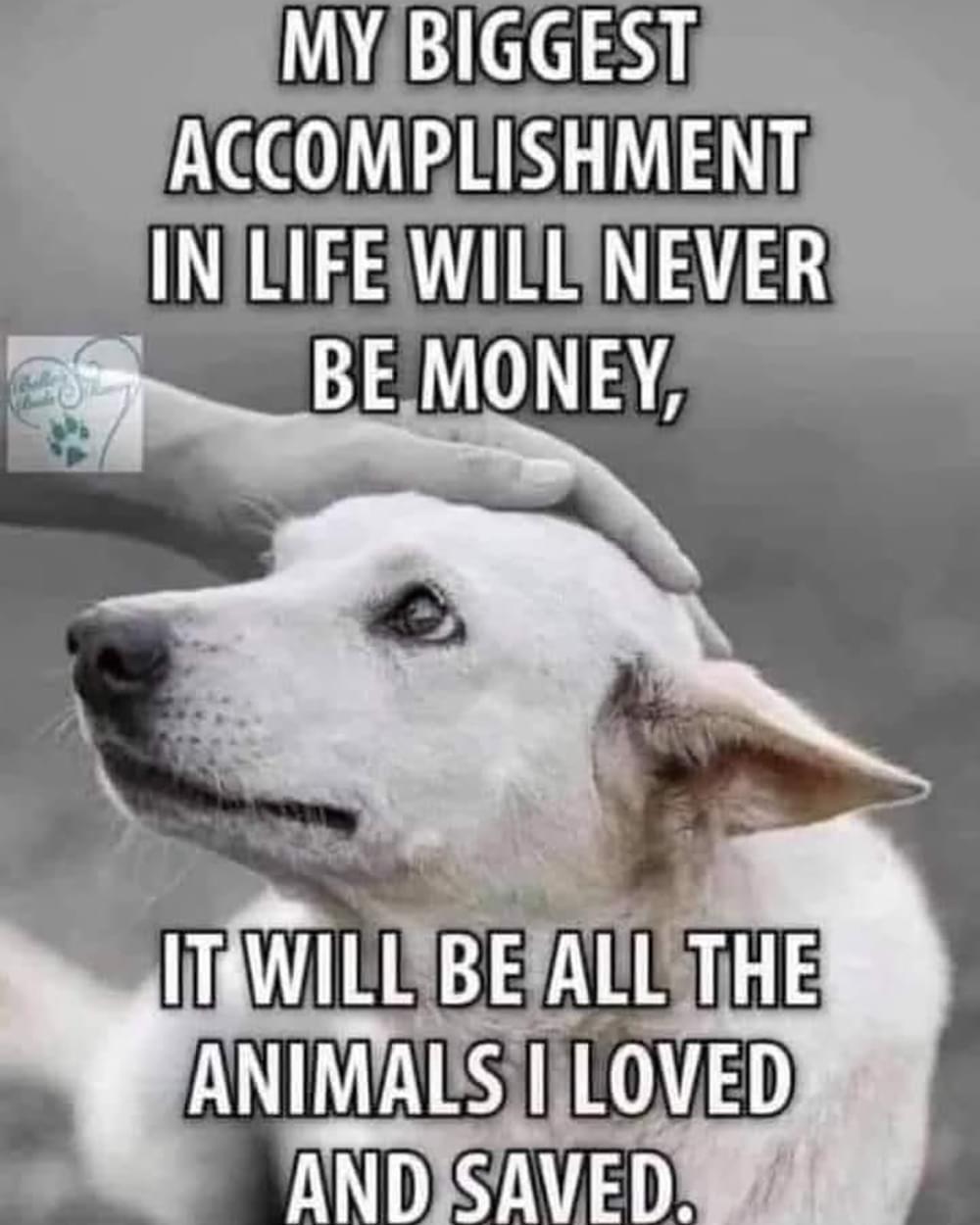 MYBIGGEST ACCOMPLISHMENT