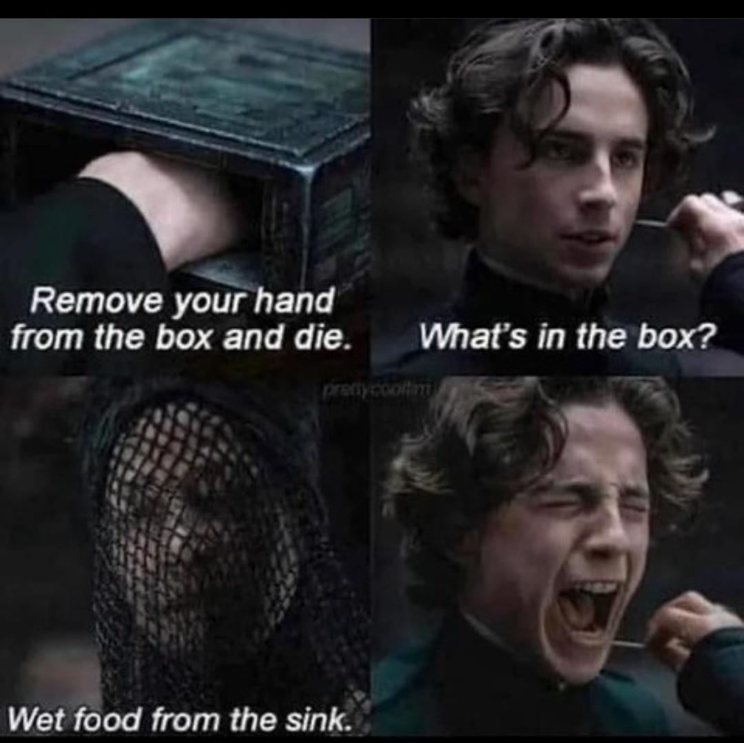 i Wet food from the sink