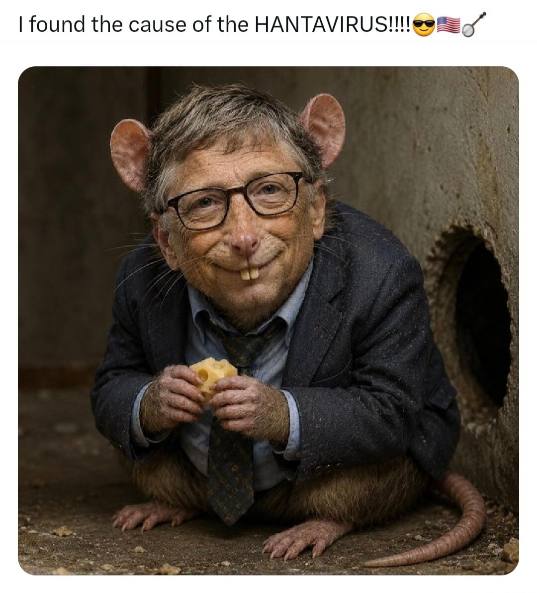 I found the cause of the HANTAVIRUS!!!!😎🇺🇸🪕