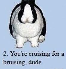 A f Sl 2 Youre cruising for a bruising dude
