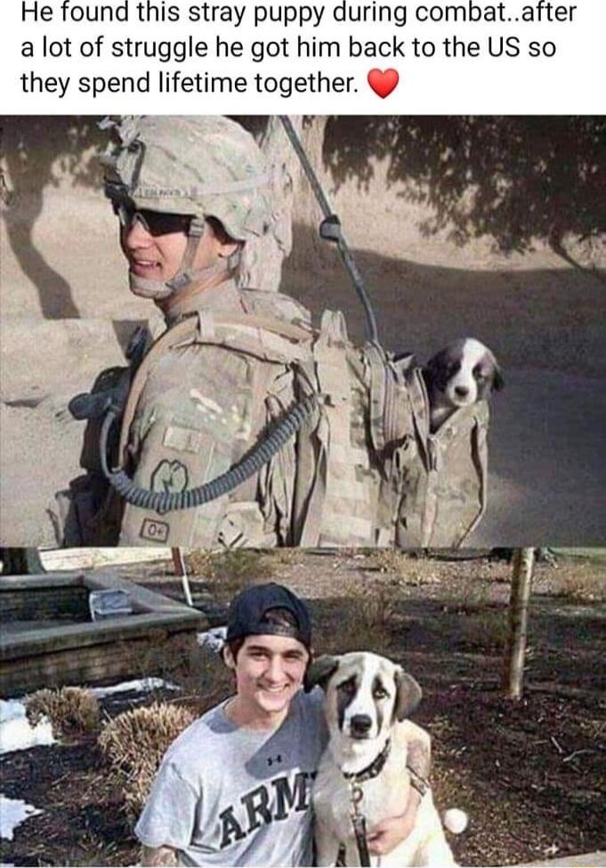 He Tound this stray puppy during combatafter a lot of struggle he got him back to the US so they spend lifetime together i