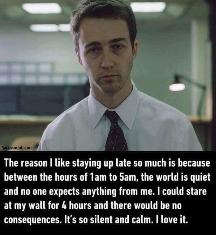 The reason I like staying up late so much is because between the hours of 1am to 5am the world is quiet and no one expects anything from me could stare at my wall for hours and there would be no consequences Its so silent and calm love it