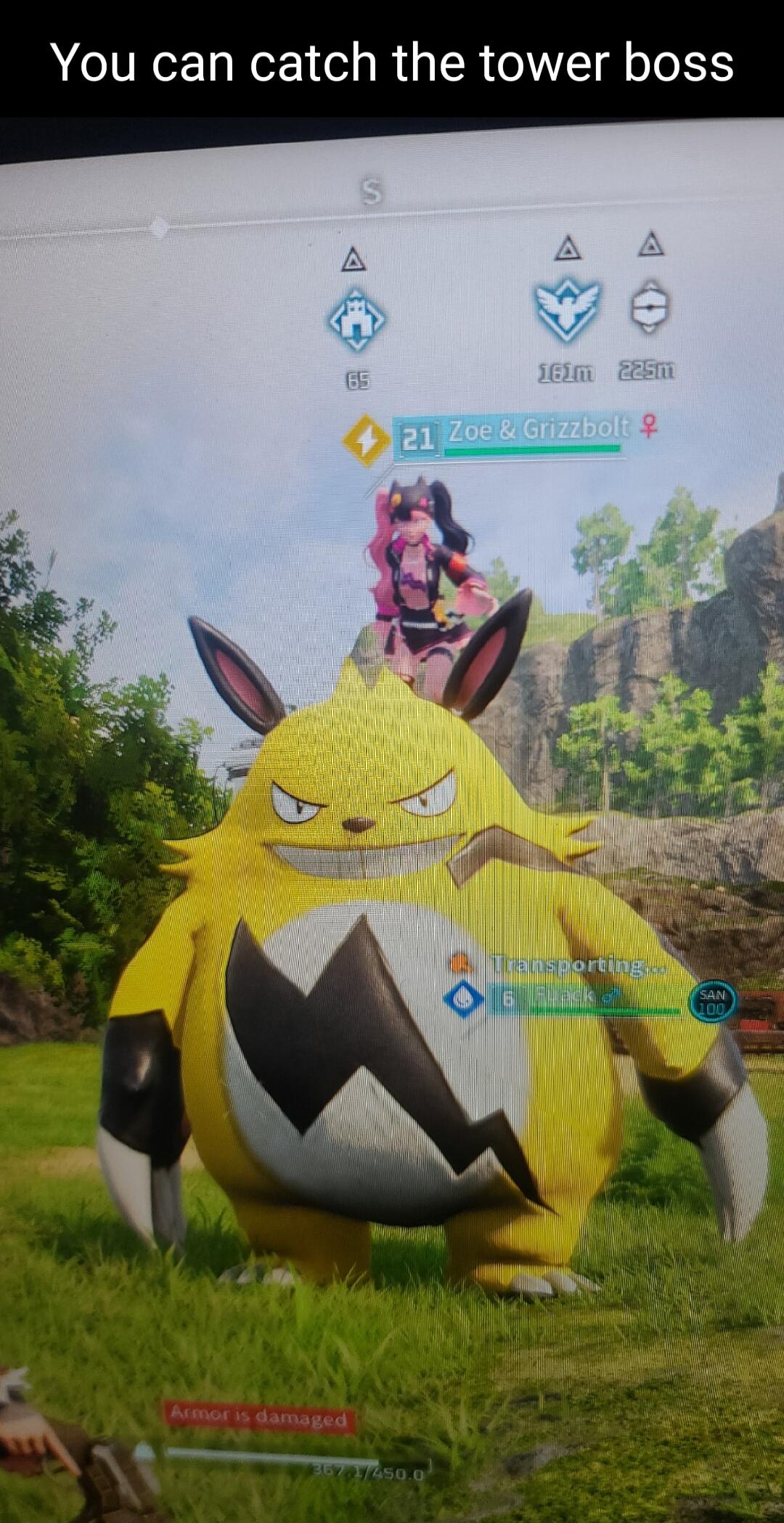 You can catch the tower boss