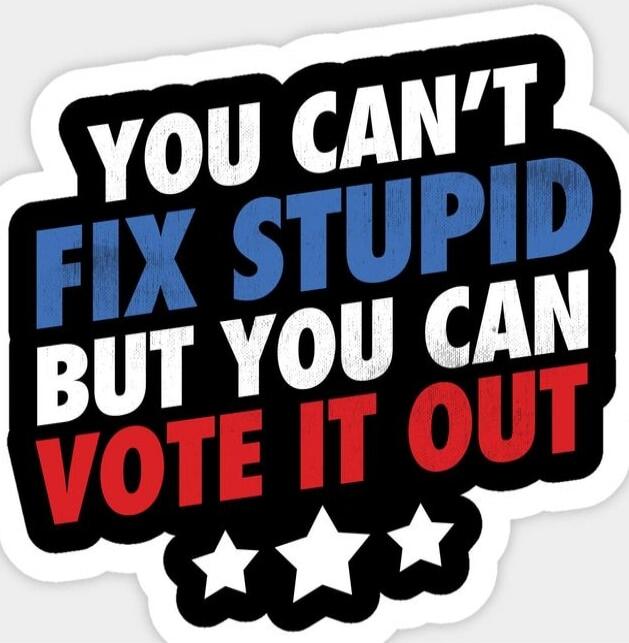 YOU CAN'T FIX STUPID BUT YOU CAN VOTE IT OUT