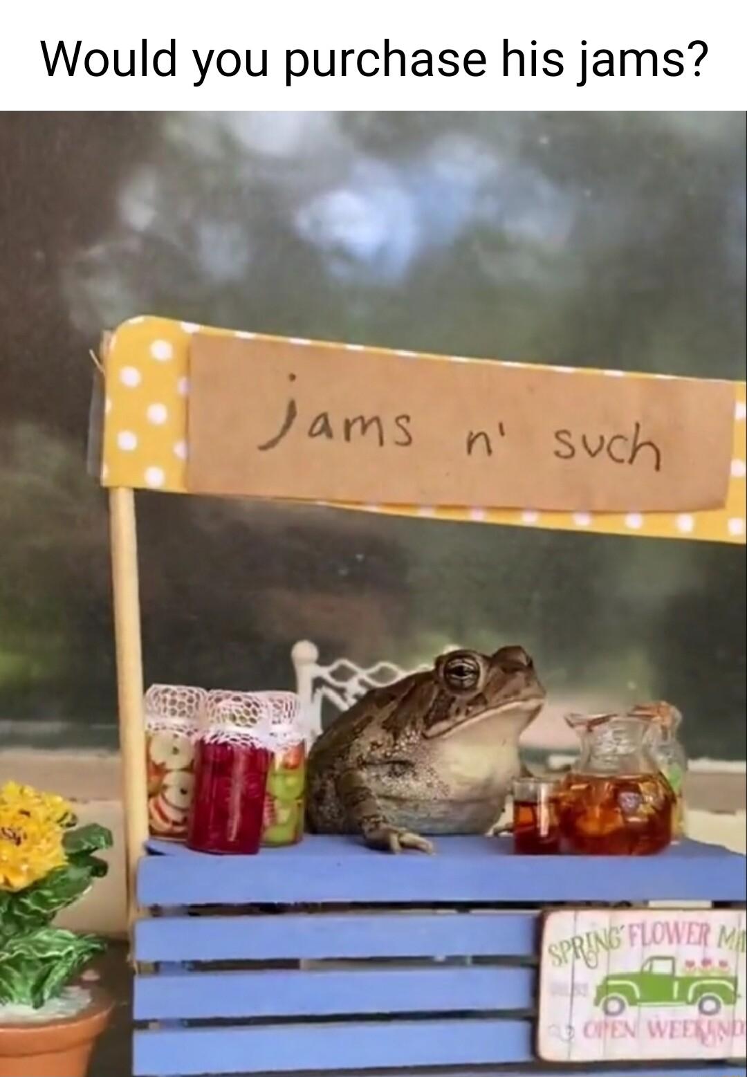 Would you purchase his jams