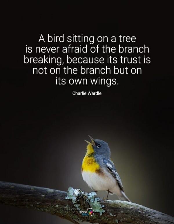 A bird sitting on a tree is never afraid of the branch breaking, because its trust is not on the branch but on its own wings. Charlie Wardle.