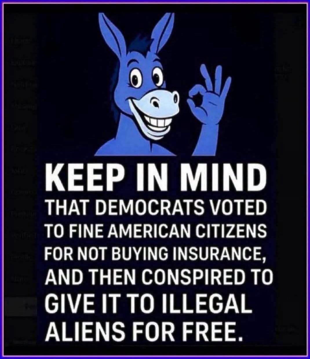 KEEP IN MIND THAT DEMOCRATS VOTED TO FINE AMERICAN CITIZENS FOR NOT BUYING INSURANCE, AND THEN CONSPIRED TO GIVE IT TO ILLEGAL ALIENS FOR FREE.