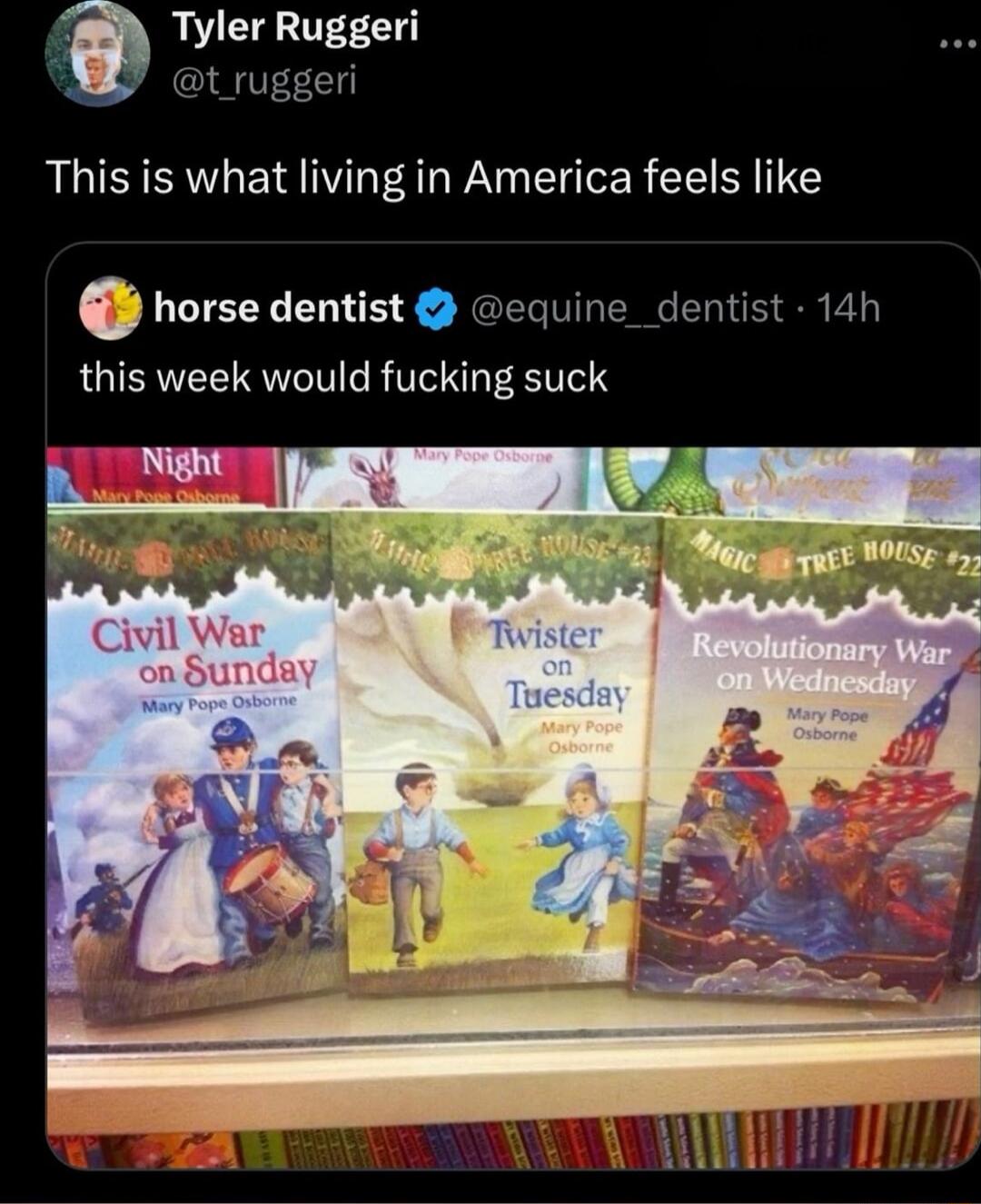 f Tyler Ruggeri t_ruggeri This is what living in America feels like c horse dentist equine_dentist 14h this week would fucking suck