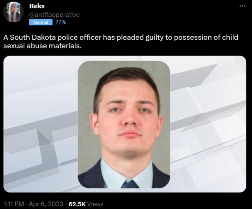 A South Dakota police officer has pleaded guilty to possession of child sexual abuse materials