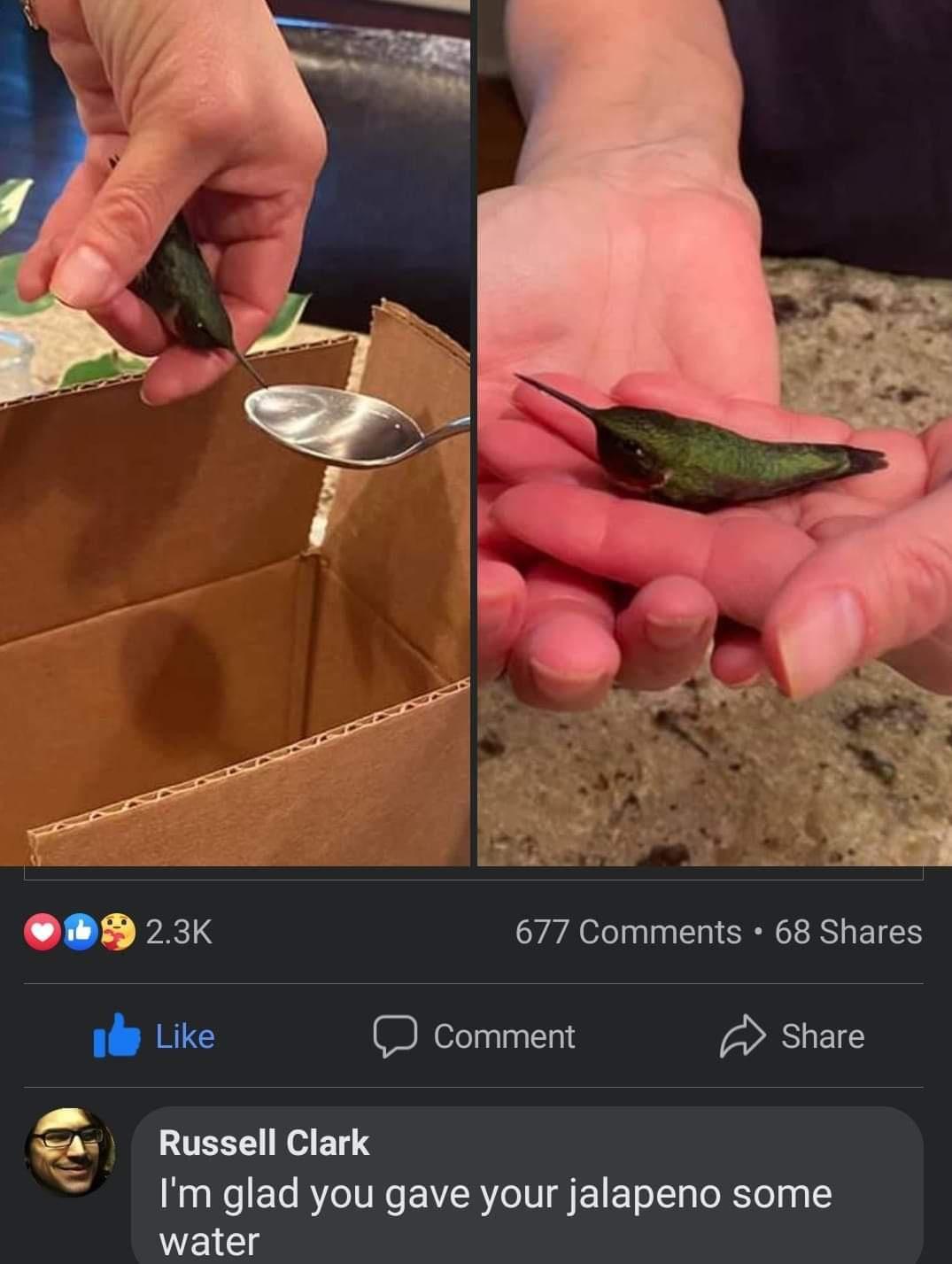 H 23k 677 Comments 68 Shares Like Comment Share 1 4 Russell Clark Imglad you gave your jalapeno some WEIg