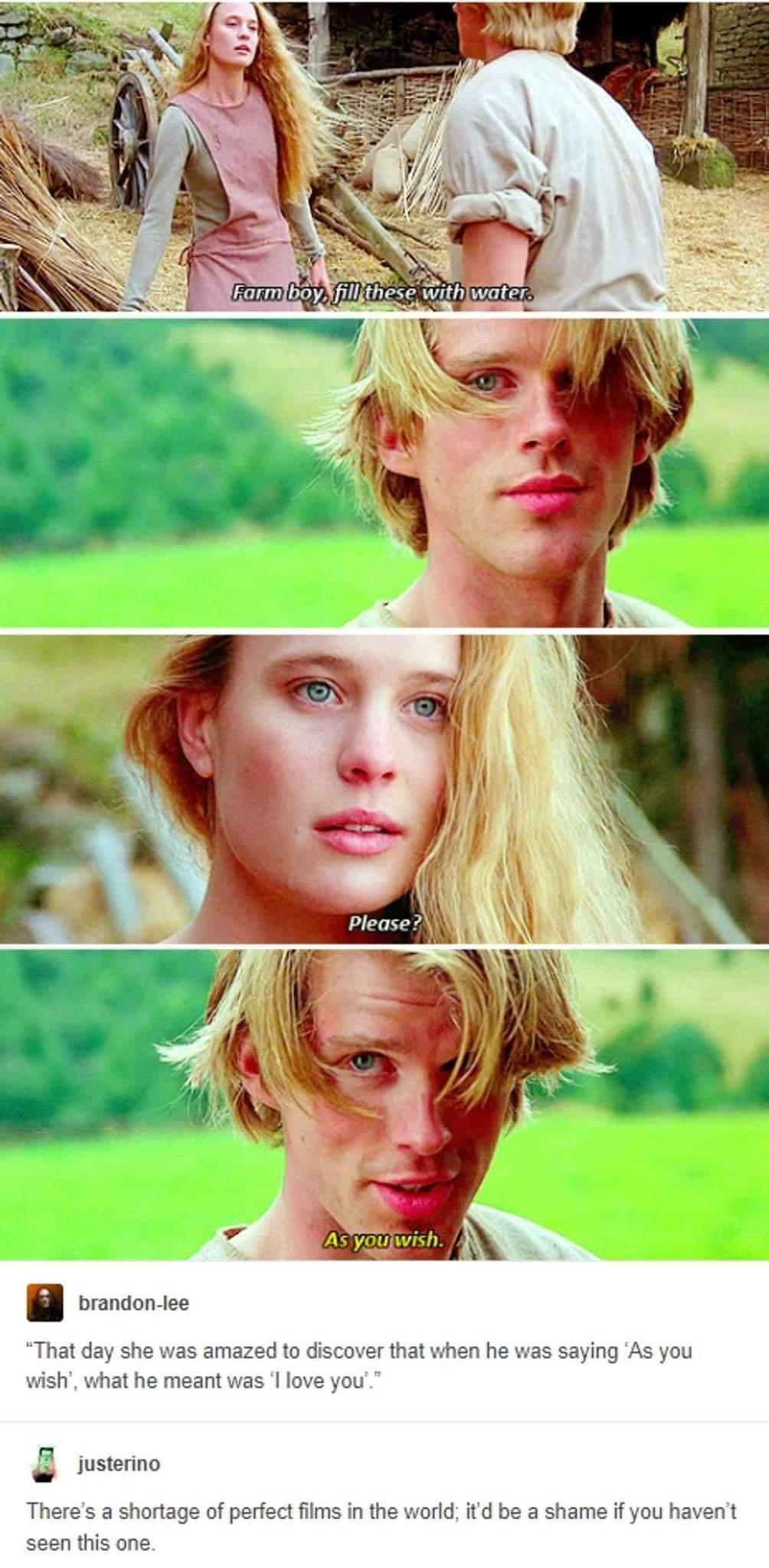 he was saying As you what he meant was l love you Theres a shortage of perfect films in the world d be a shame if you havent seen this one