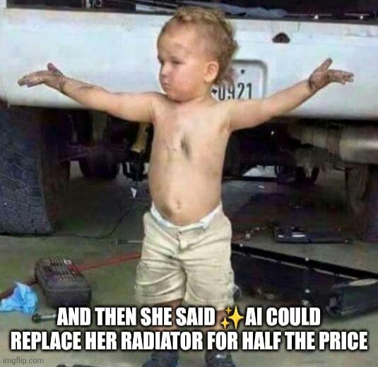 AND THEN SHE SAID ✨ I COULD REPLACE HER RADIATOR FOR HALF THE PRICE