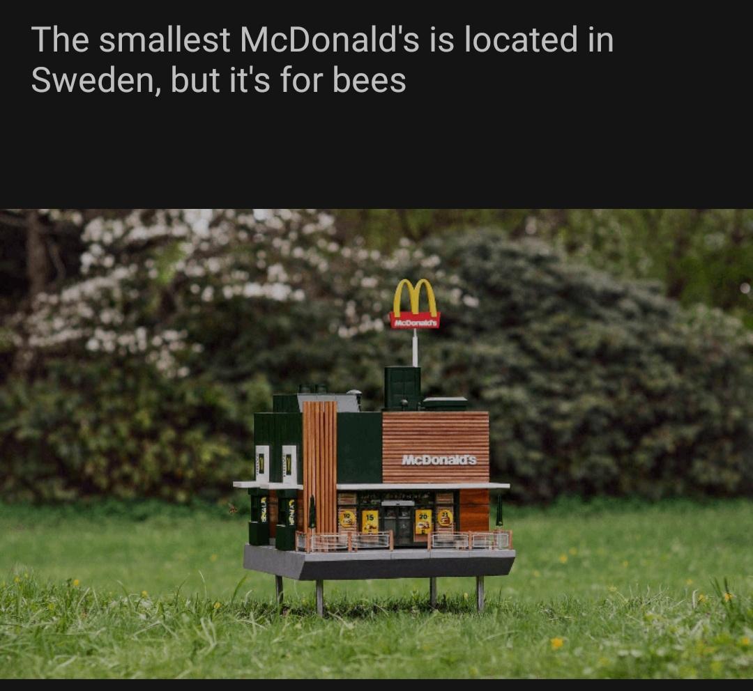 The smallest McDonalds is located in Sweden but its for bees