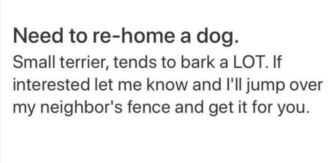 Need to re home a dog Small terrier tends to bark a LOT If interested let me know and Ill jJump over my neighbors fence and get it for you