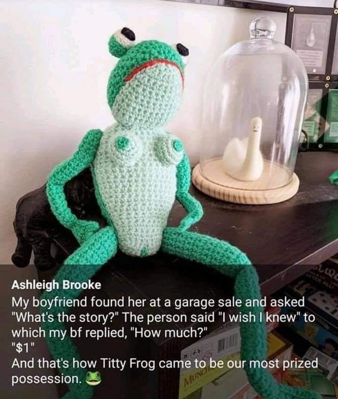 Ashleigh Brooke My boyfriend found her at a garage sale and asked Whats the story The person said l wish l knew to which my bf replied How much g1 And thats how Titty Frog came to be our most prized possession