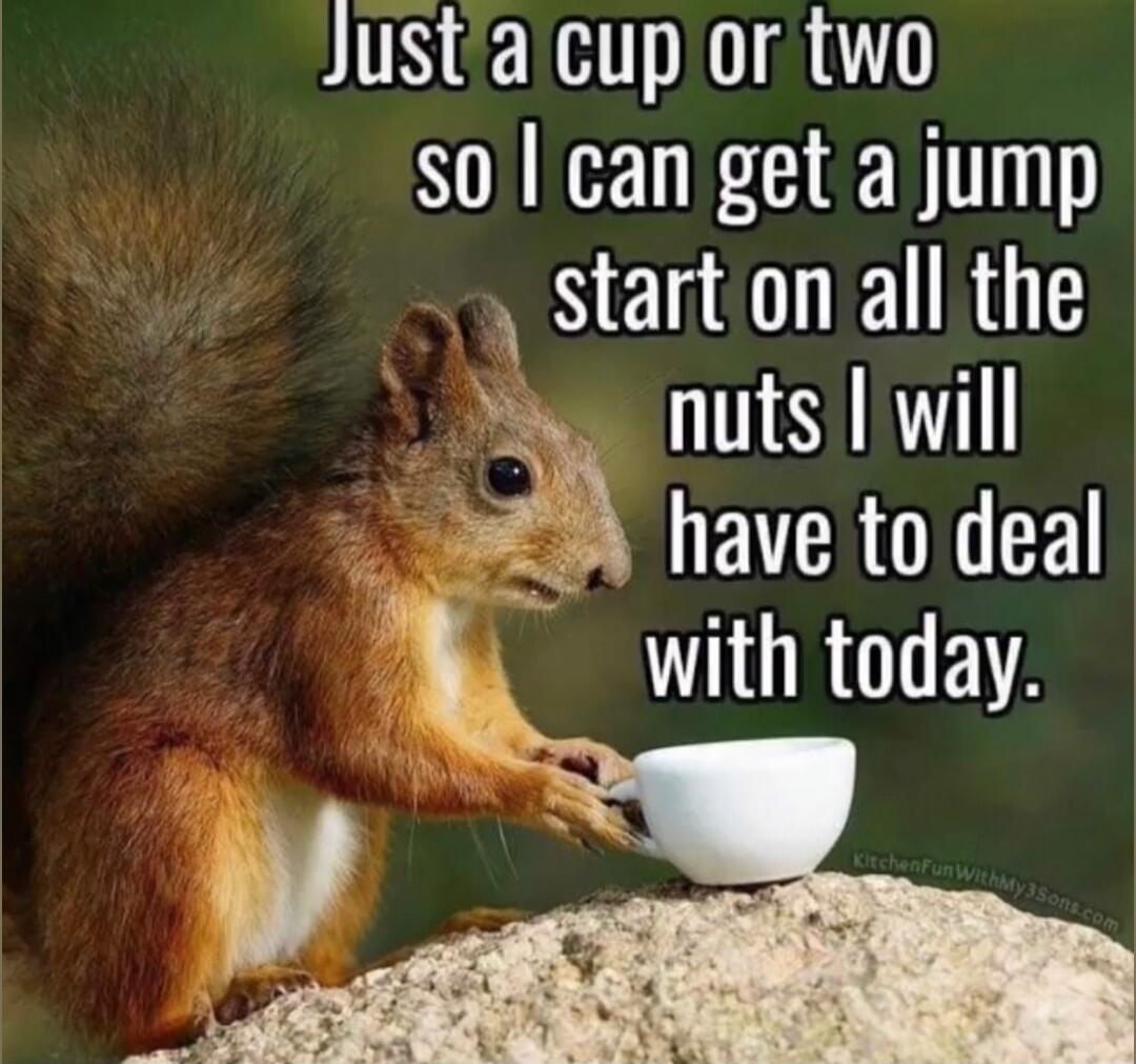 Just a cup or two so I can get a jump start on all the nuts I will have to deal with today.