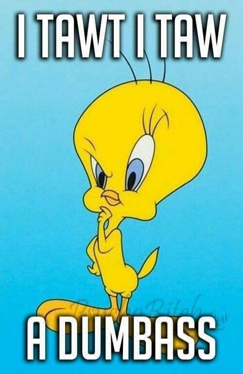 I TAWT I TAW A DUMBASS
