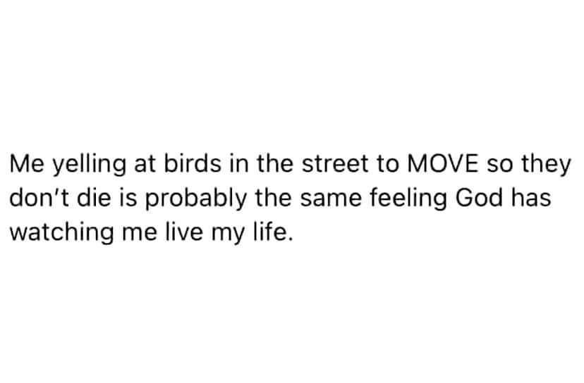 Me yelling at birds in the street to MOVE so they dont die is probably the same feeling God has watching me live my life