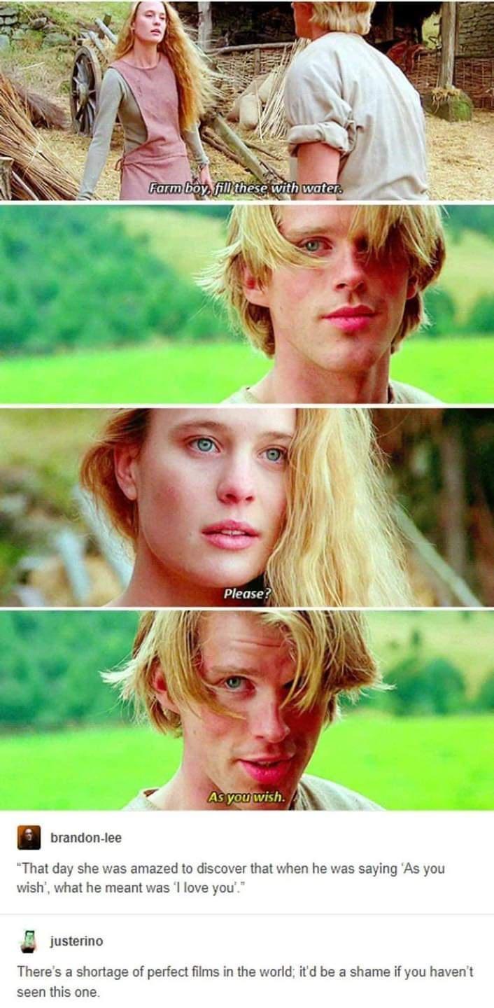 That day she was ama wish what he meant w iusterino L a shortage of perfect films in the world d be a shame if you havent s one