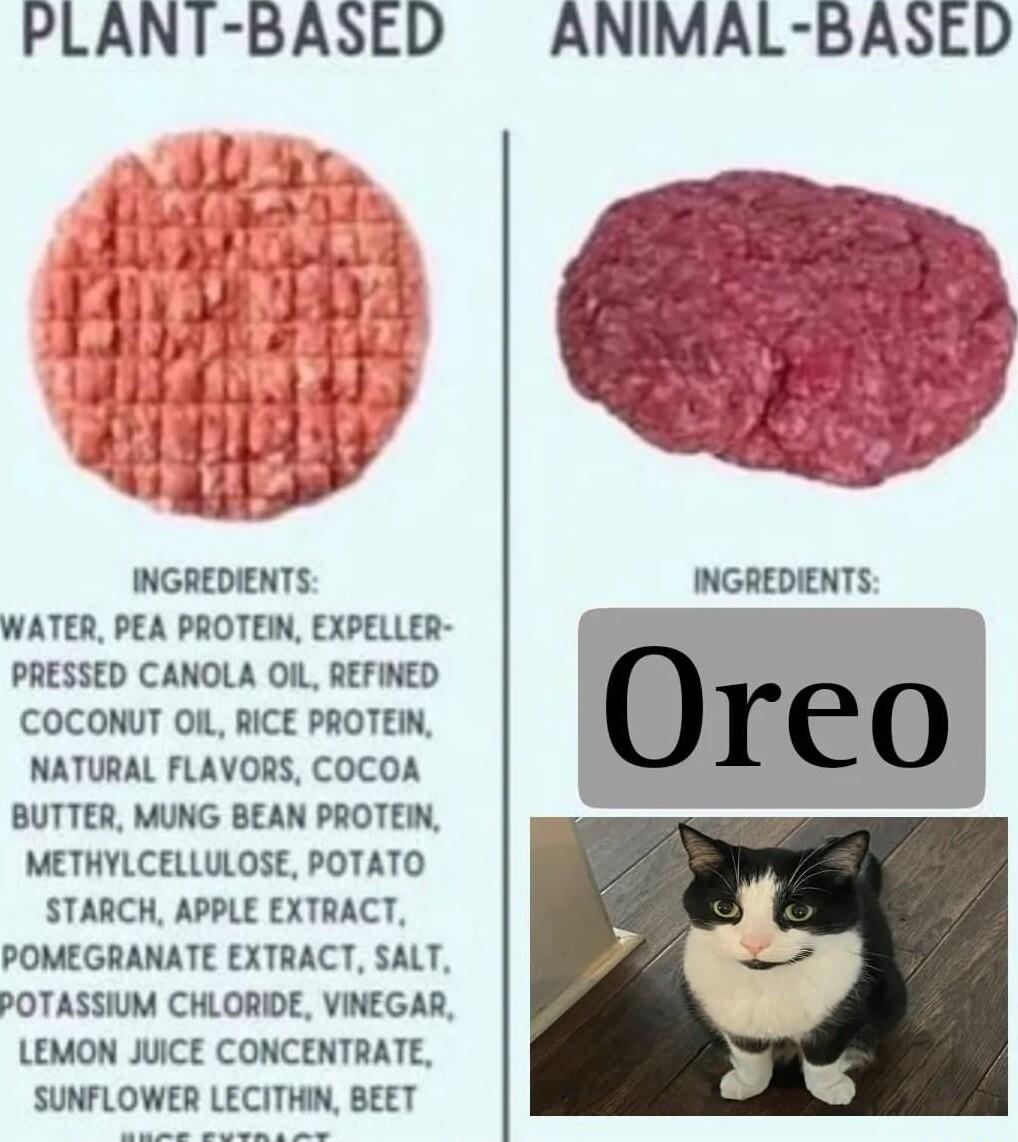 PLANT BASED INGREDIENTS WATER PEA PROTEIN EXPELLER PRESSED CANOLA OIL REFINED CCOCONUT OIL RICE PROTEIN NATURAL FLAVORS COCOA BUTTER MUNG BEAN PROTEIN METHYLCELLULOSE POTATO STARCH APPLE EXTRACT POMEGRANATE EXTRACT SALT POTASSIUM CHLORIDE VINEGAR LEMON JUICE CONCENTRATE SUNFLOWER LECITHIN BEET ANIMAL BASED