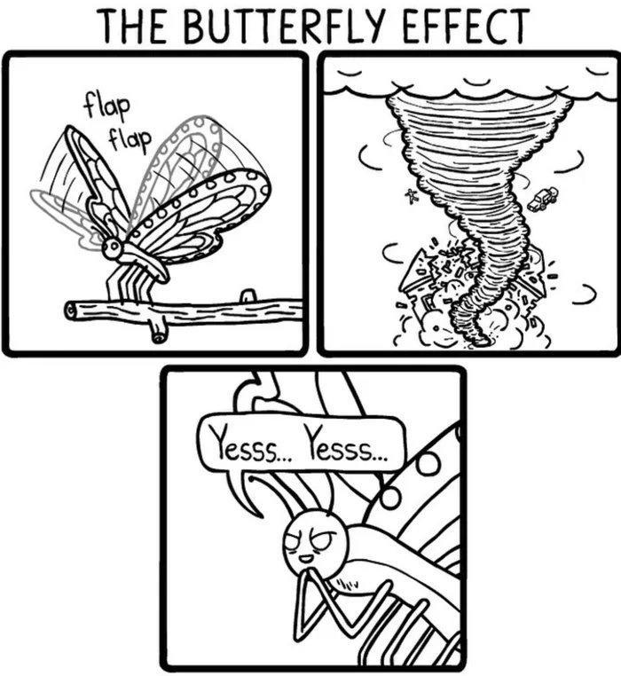 THE BUTTERFLY EFFECT