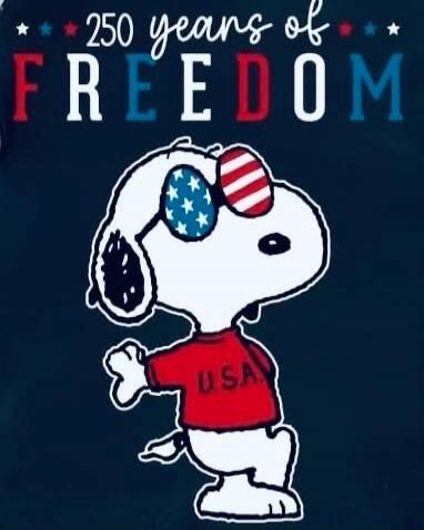 250 years of FREEDOM USA