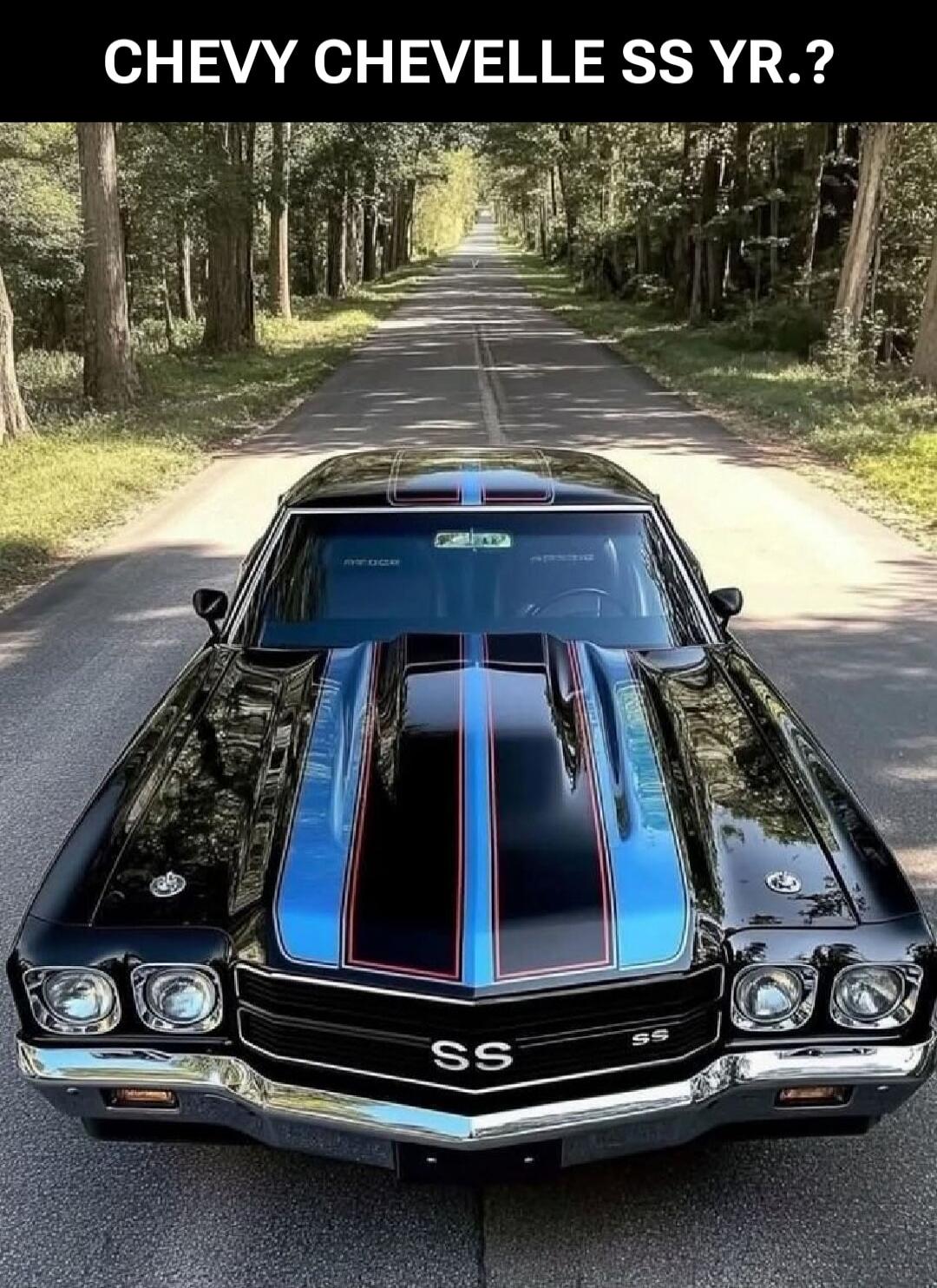 CHEVY CHEVELLE SS YR.?