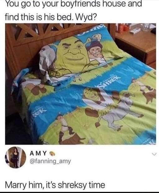 U go to your boyiriends house and find this is his bed Wyd AMY i fanning_amy Marry him its shreksy time
