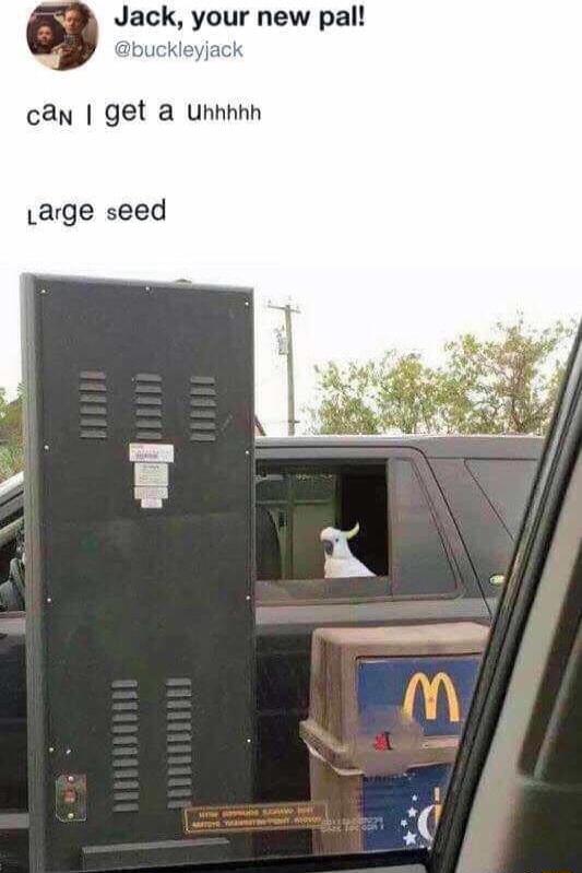 Jack your new pal bus jack can get a unhhhh Large seed