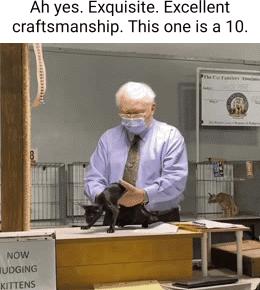An yes Exquisite Excellent craftsmanship This one is a 10