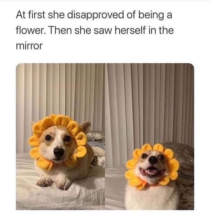 At first she disapproved of being a flower Then she saw herself in the mirror