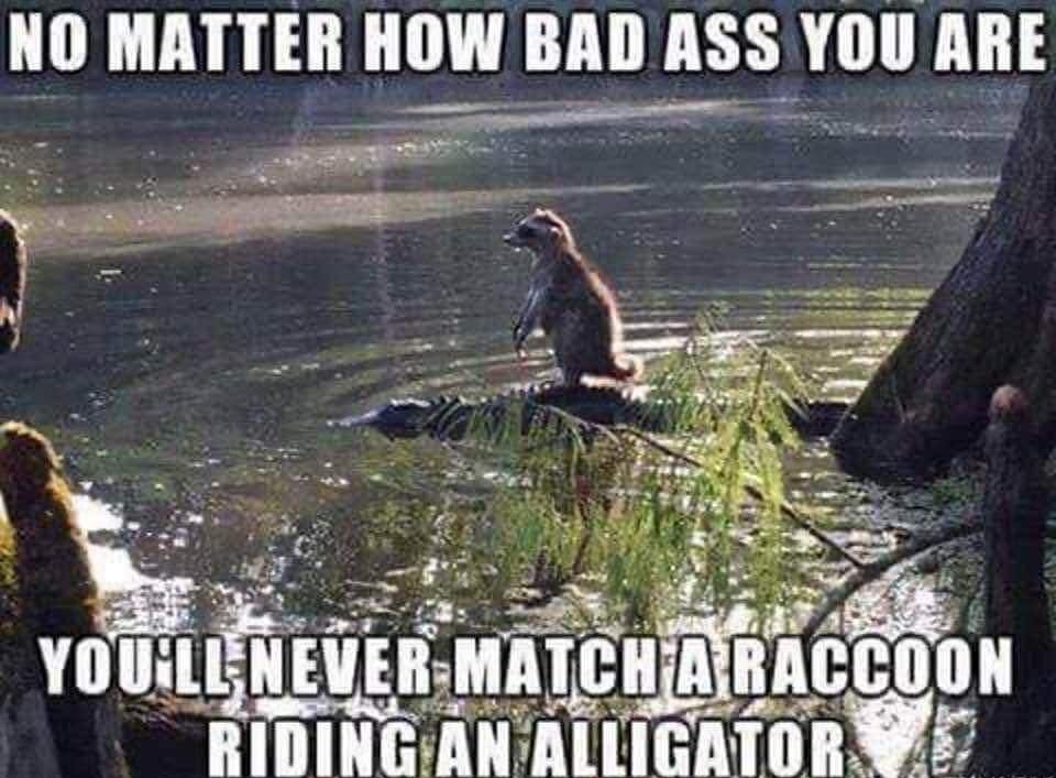 NO MATTER HOW BAD ASS_YOUABE