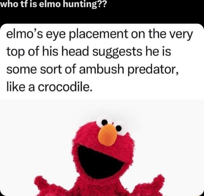 who tfis elmo hunting elmos eye placement on the very top of his head suggests he is some sort of ambush predator like a crocodile