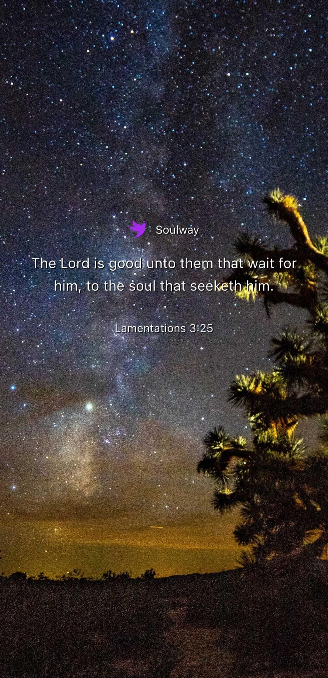 Soulway The Lord is good unto them that wait for him, to the soul that seeketh him. Lamentations 3:25