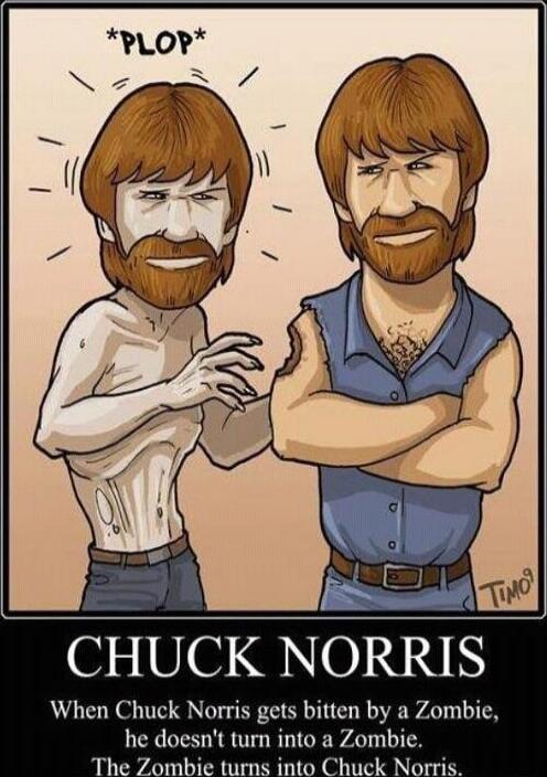 *PLOP*

CHUCK NORRIS
When Chuck Norris gets bitten by a Zombie, he doesn't turn into a Zombie. The Zombie turns into Chuck Norris.