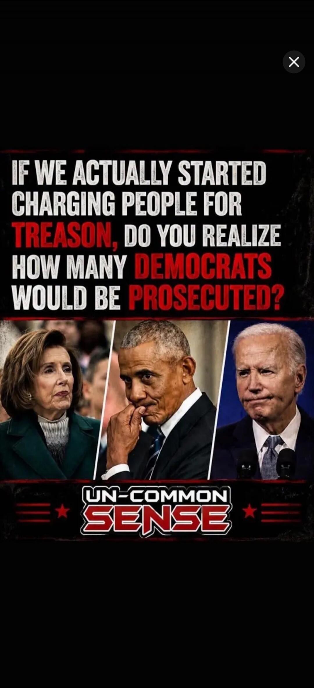 IF WE ACTUALLY STARTED CHARGING PEOPLE FOR TREASON, DO YOU REALIZE HOW MANY DEMOCRATS WOULD BE PROSECUTED? UN-COMMON SENSE