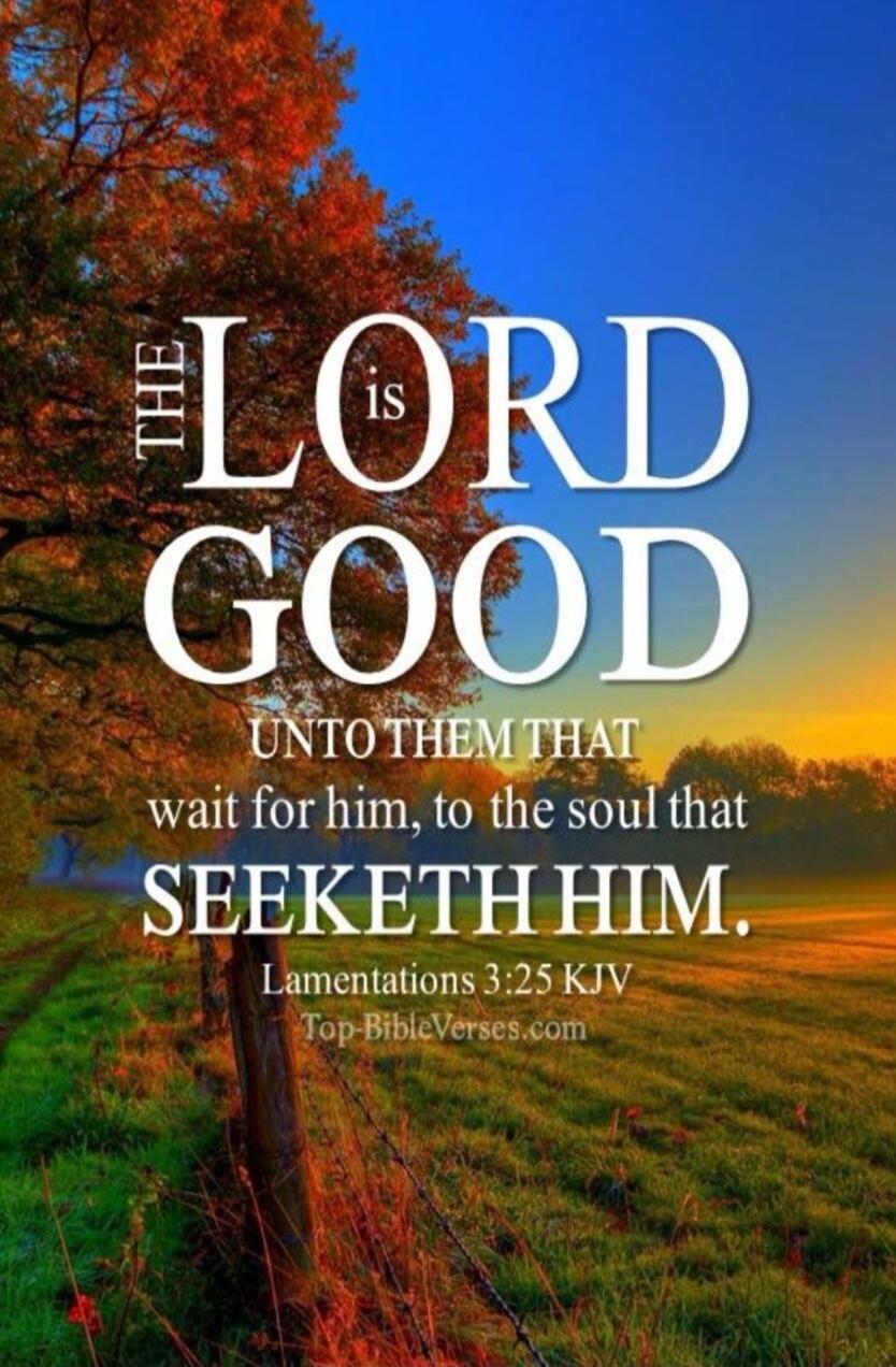 THE LORD IS GOOD UNTO THEM THAT WAIT FOR HIM, TO THE SOUL THAT SEEKETH HIM. Lamentations 3:25 KJV